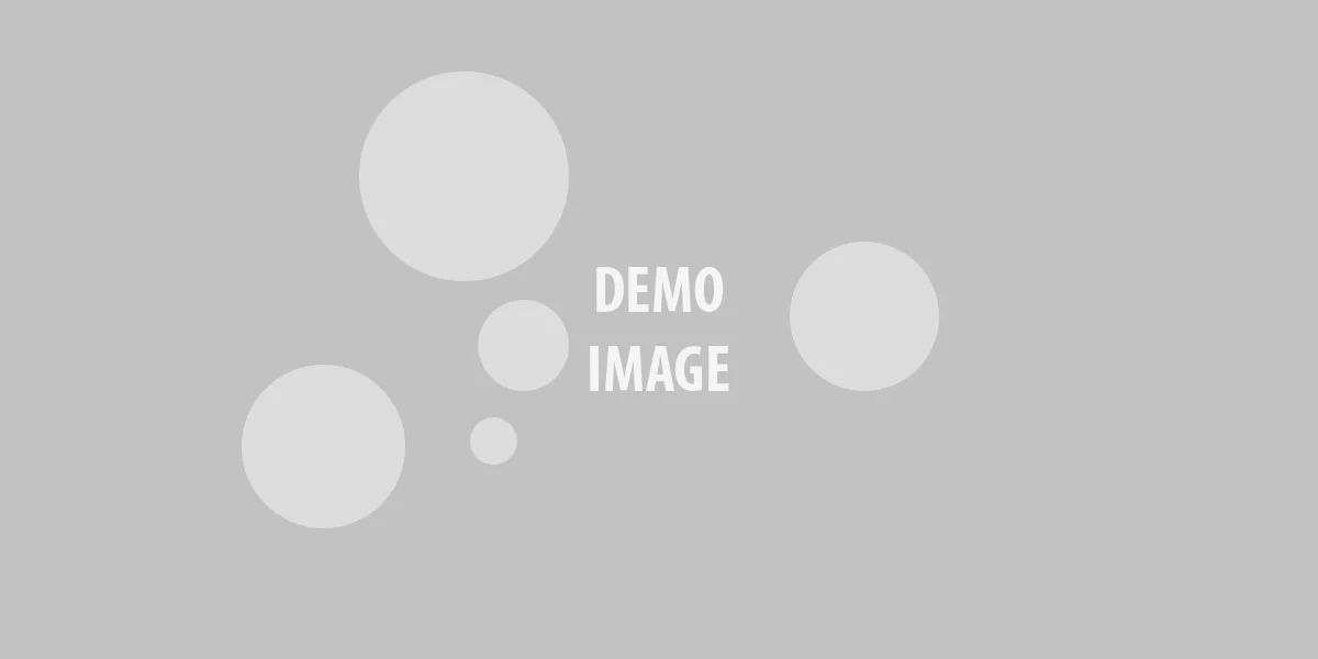 Sample article number 03